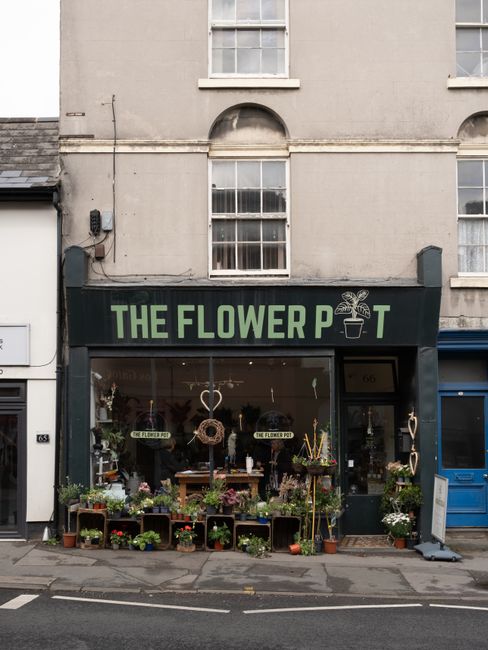 The exterior of The Flower Pot, a flower shop with a black storefront sign displaying green lettering and a potted plant illustration, situated on a street with neighboring buildings. The shop window